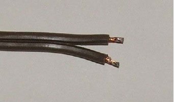 Lynx-9.jpg