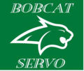 BobcatServo.jpg